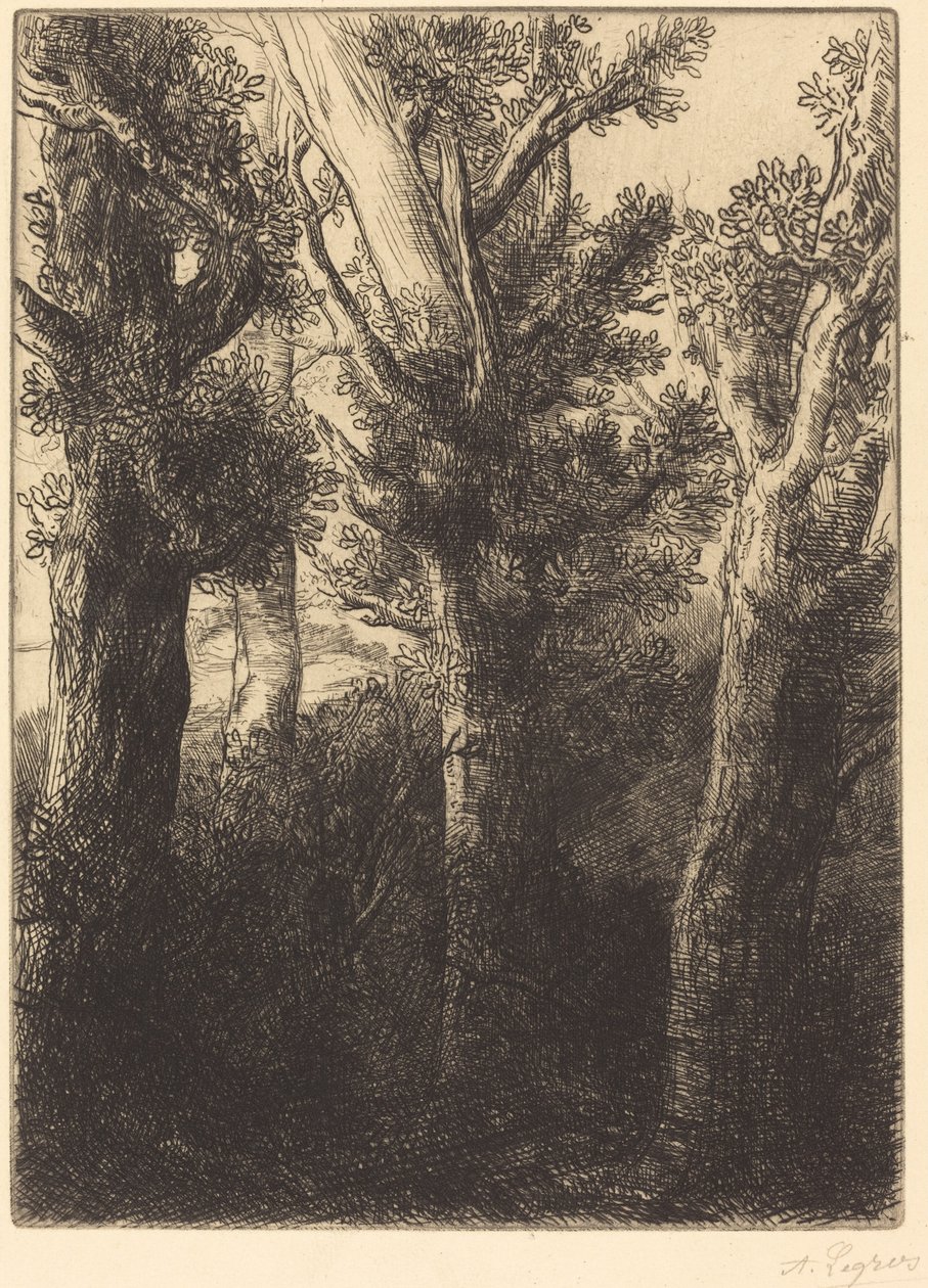 Niemiecki Las, Downley. autorstwa Alphonse Legros