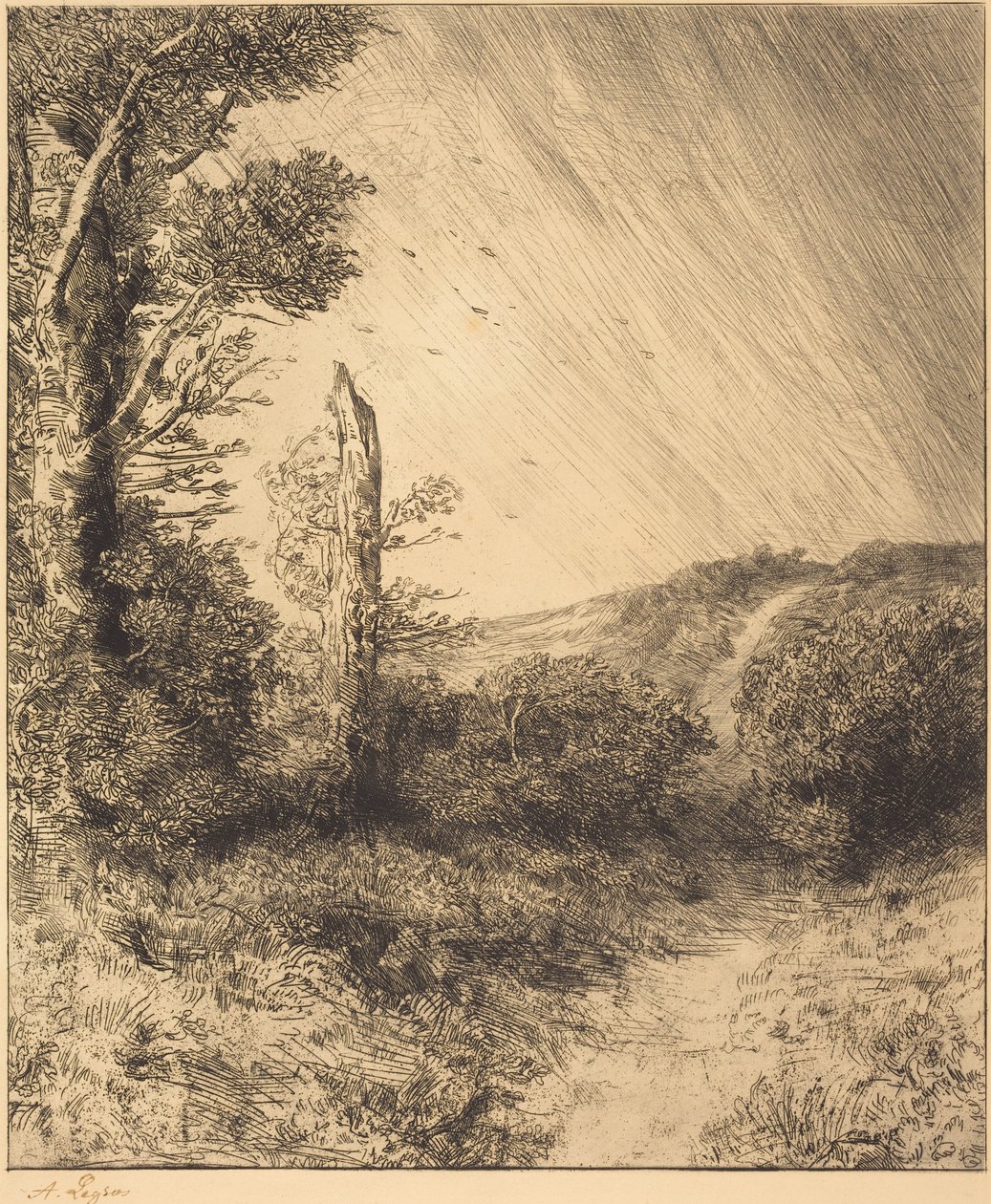Gust of Wind (Podmuch wiatru) autorstwa Alphonse Legros