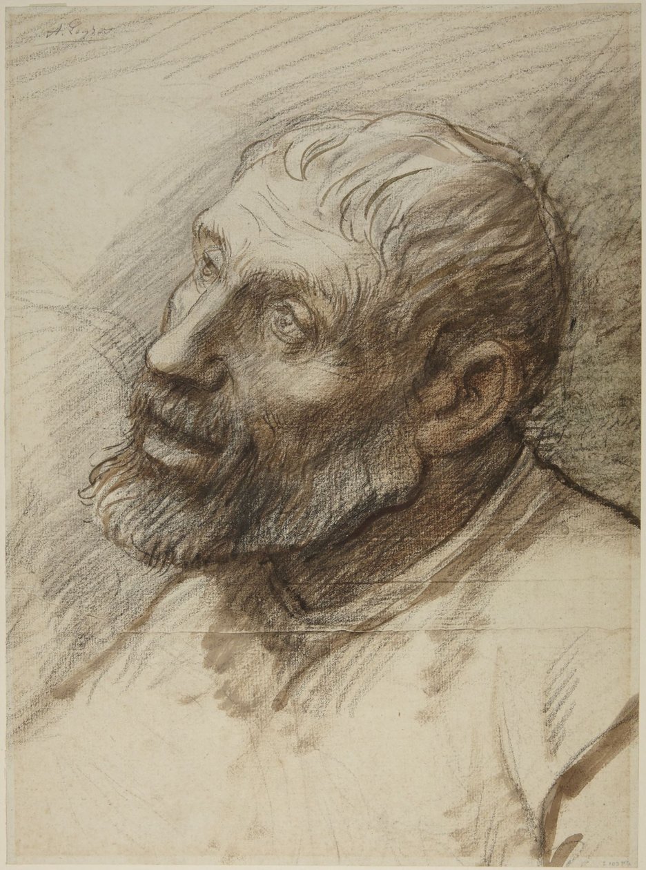 Głowa brodatego mężczyzny autorstwa Alphonse Legros