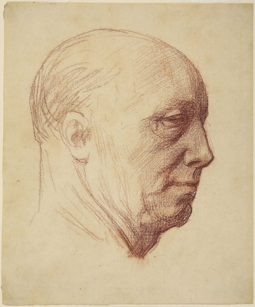 Głowa człowieka autorstwa Alphonse Legros
