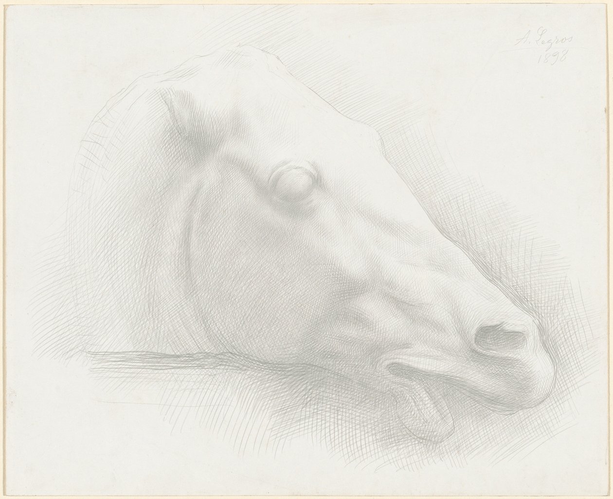 Głowa konia z Partenonu autorstwa Alphonse Legros