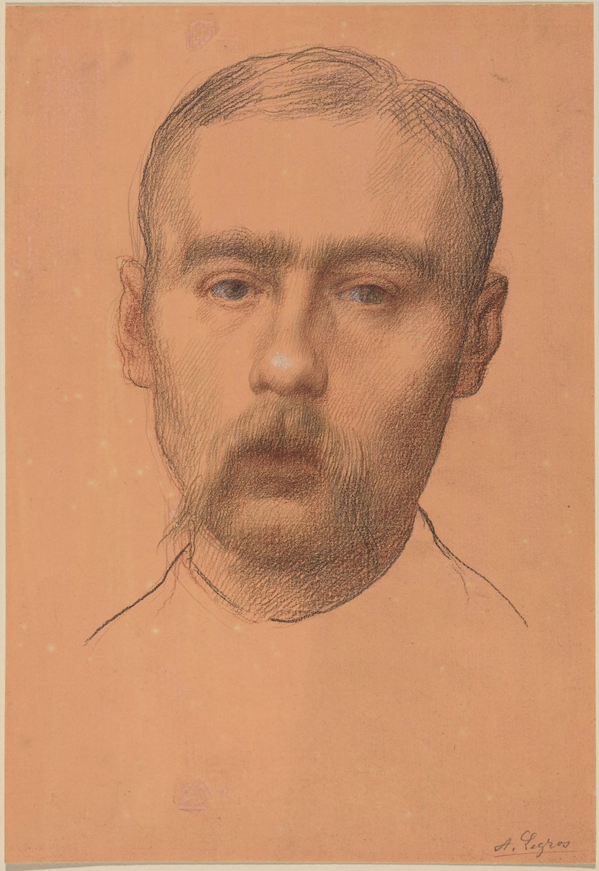 Głowa mężczyzny  (prawdopodobny portret profesora E.D. Adamsa) autorstwa Alphonse Legros