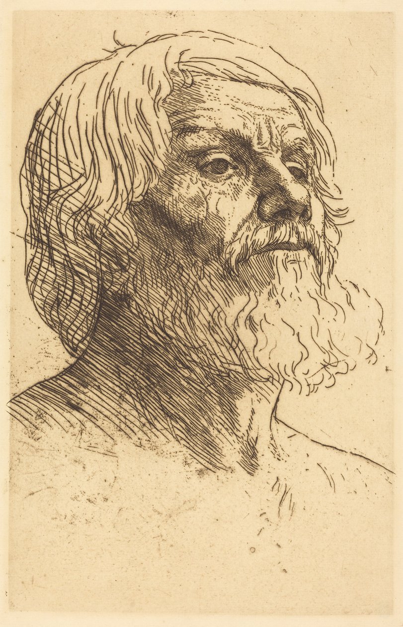 Głowa mężczyzny autorstwa Alphonse Legros