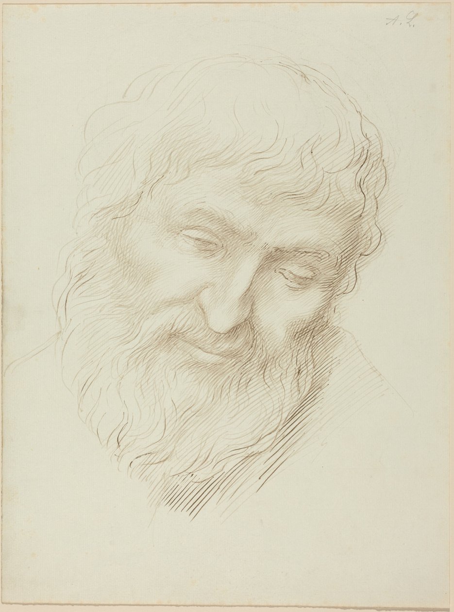 Głowa mężczyzny autorstwa Alphonse Legros