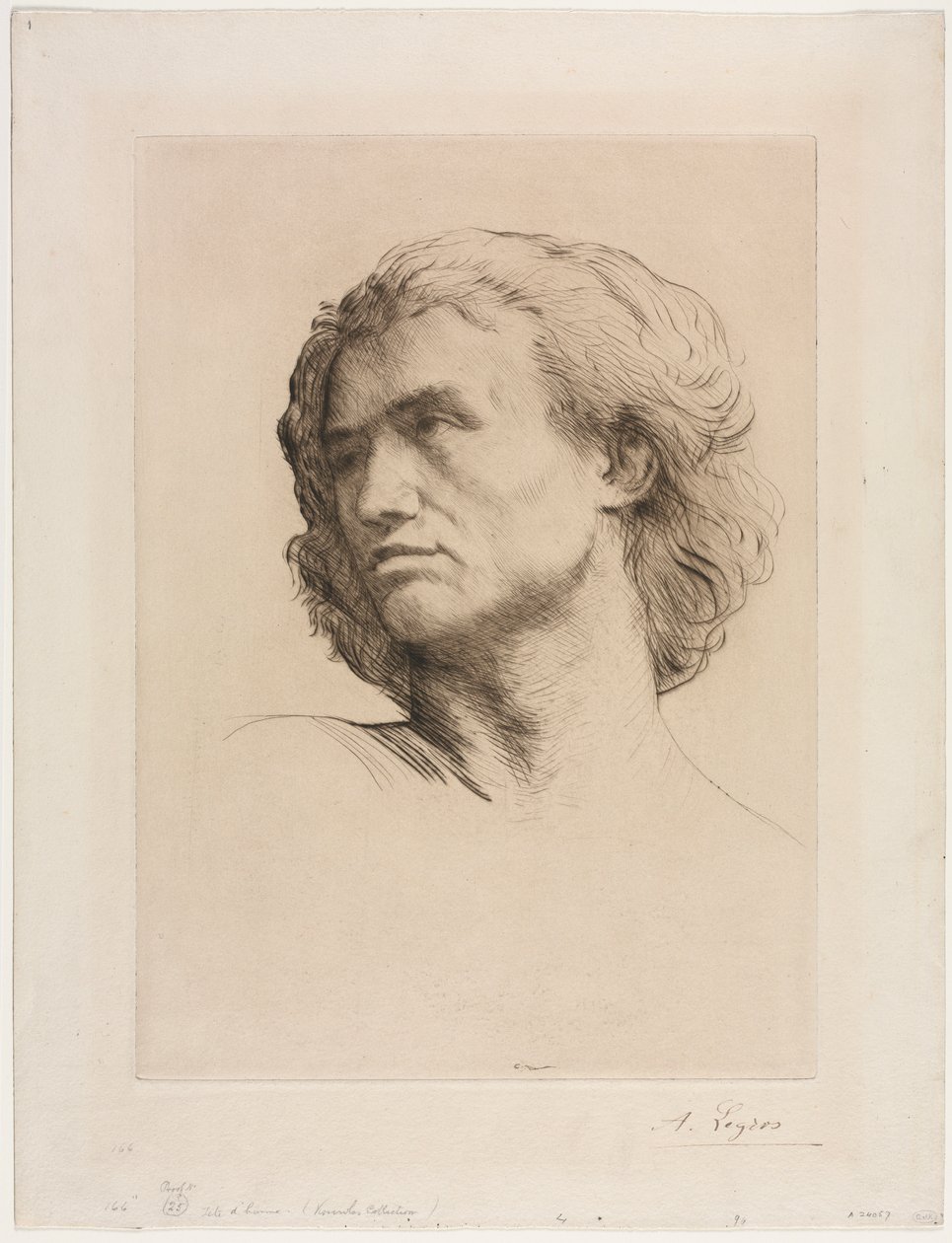 Głowa mężczyzny. autorstwa Alphonse Legros
