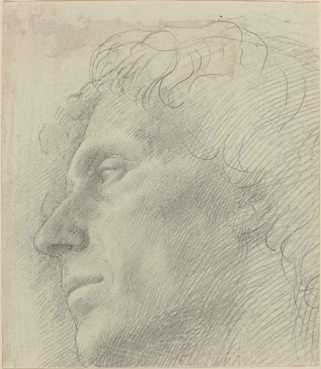 Głowa mężczyzny zwróconego w lewo autorstwa Alphonse Legros