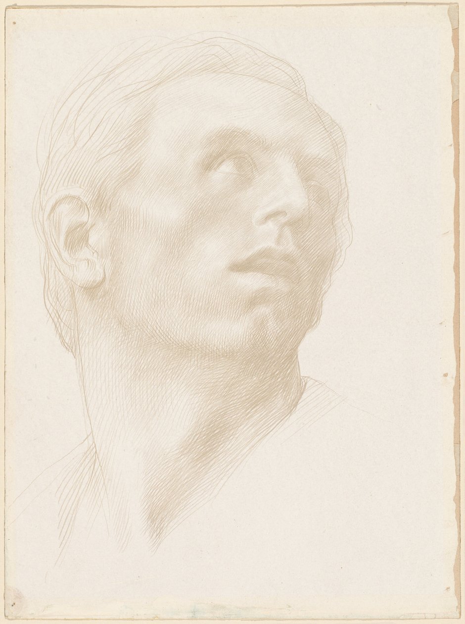 Głowa mężczyzny patrzącego w prawo, lata 90. XIX wieku. autorstwa Alphonse Legros