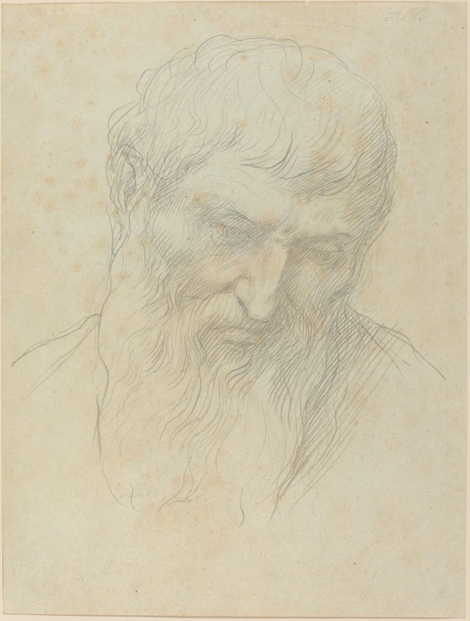 Głowa mężczyzny z kręconymi włosami i brodą autorstwa Alphonse Legros