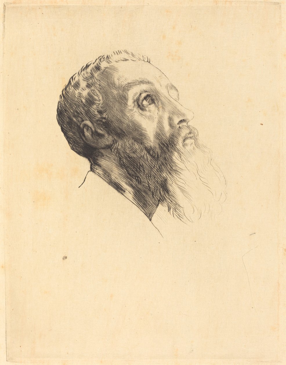Szef Modelki Szefowie Modelek. autorstwa Alphonse Legros