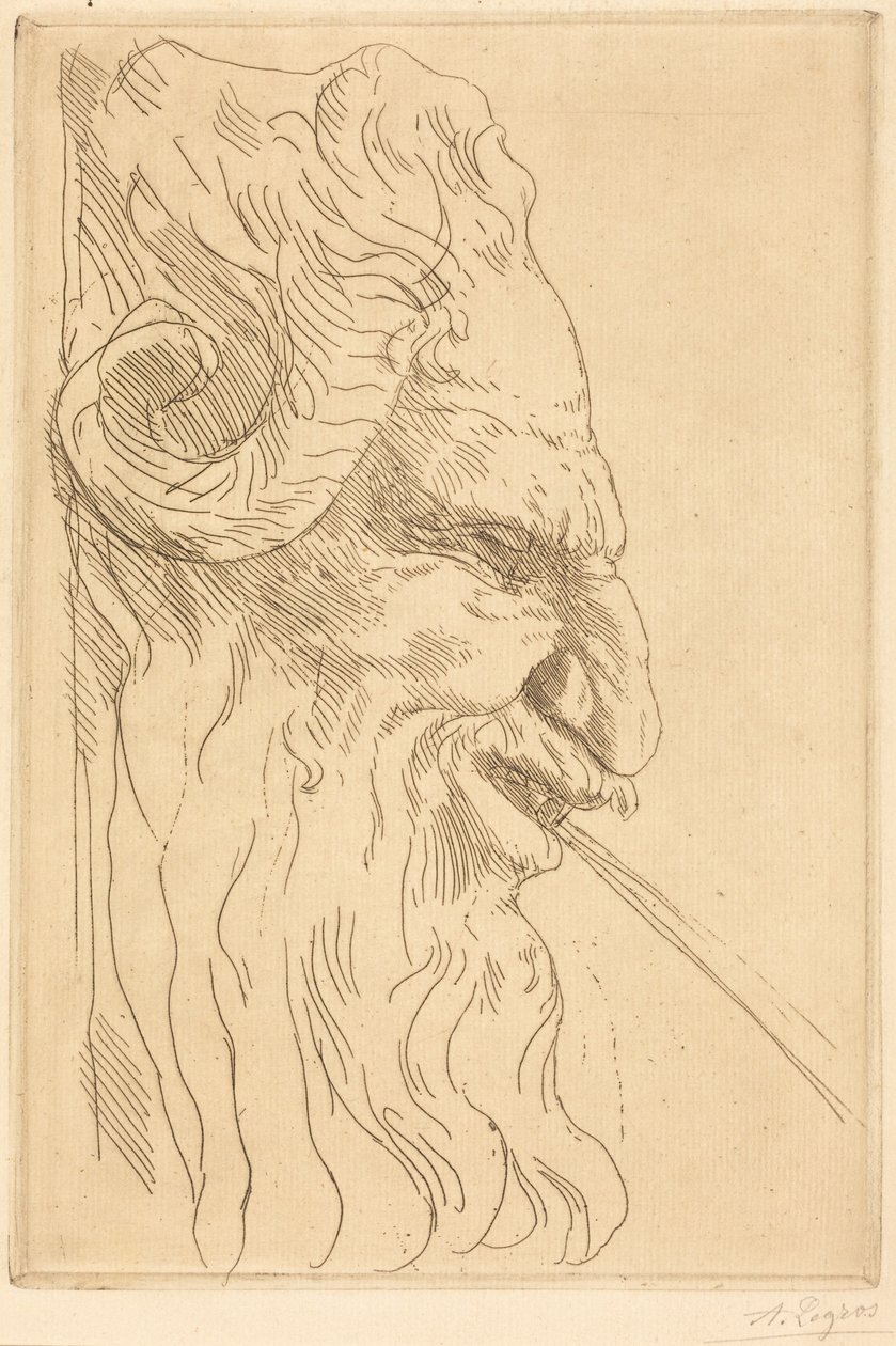 Głowa satyra autorstwa Alphonse Legros