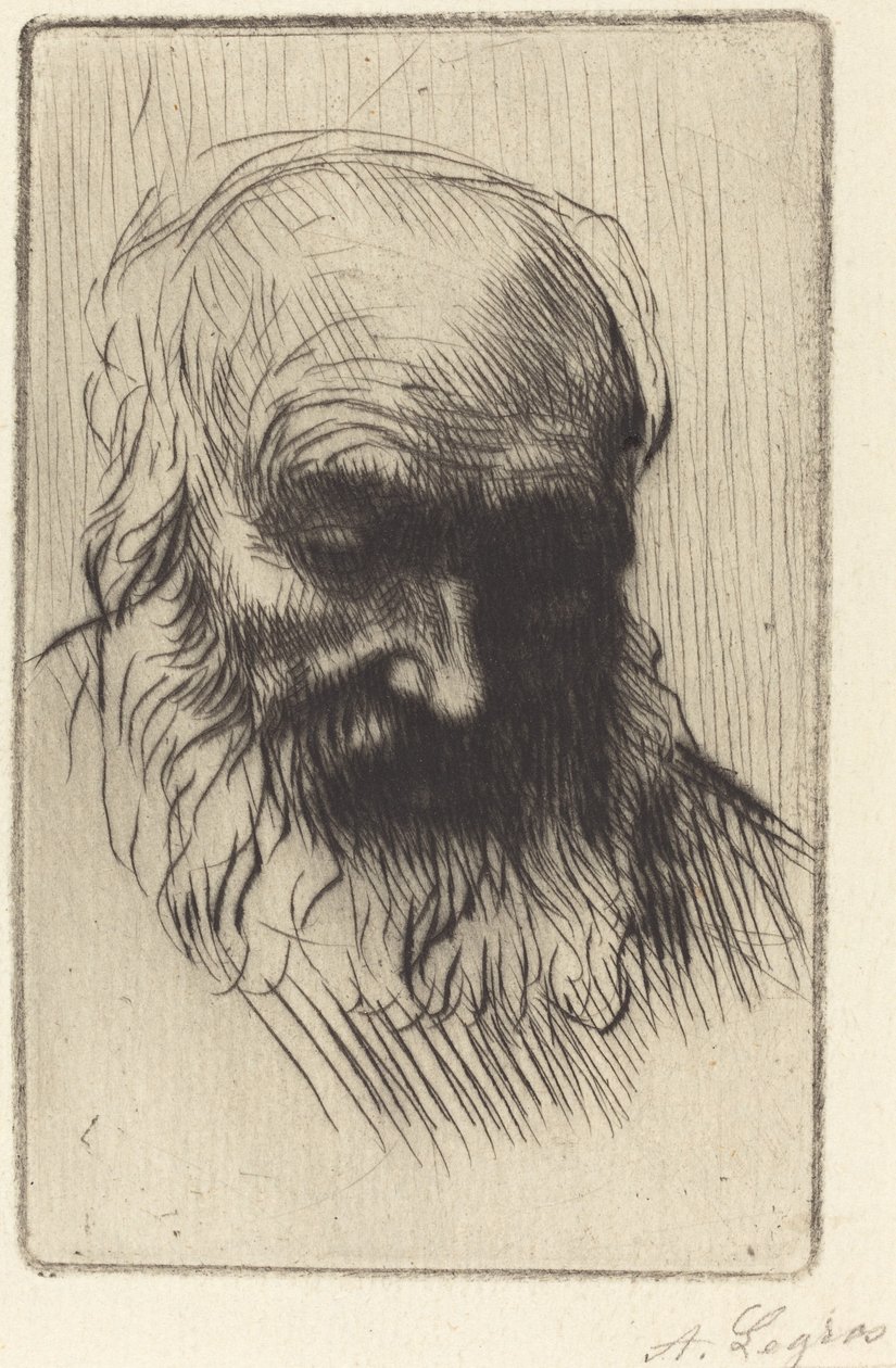 Głowa starego człowieka (Etude de tete) autorstwa Alphonse Legros
