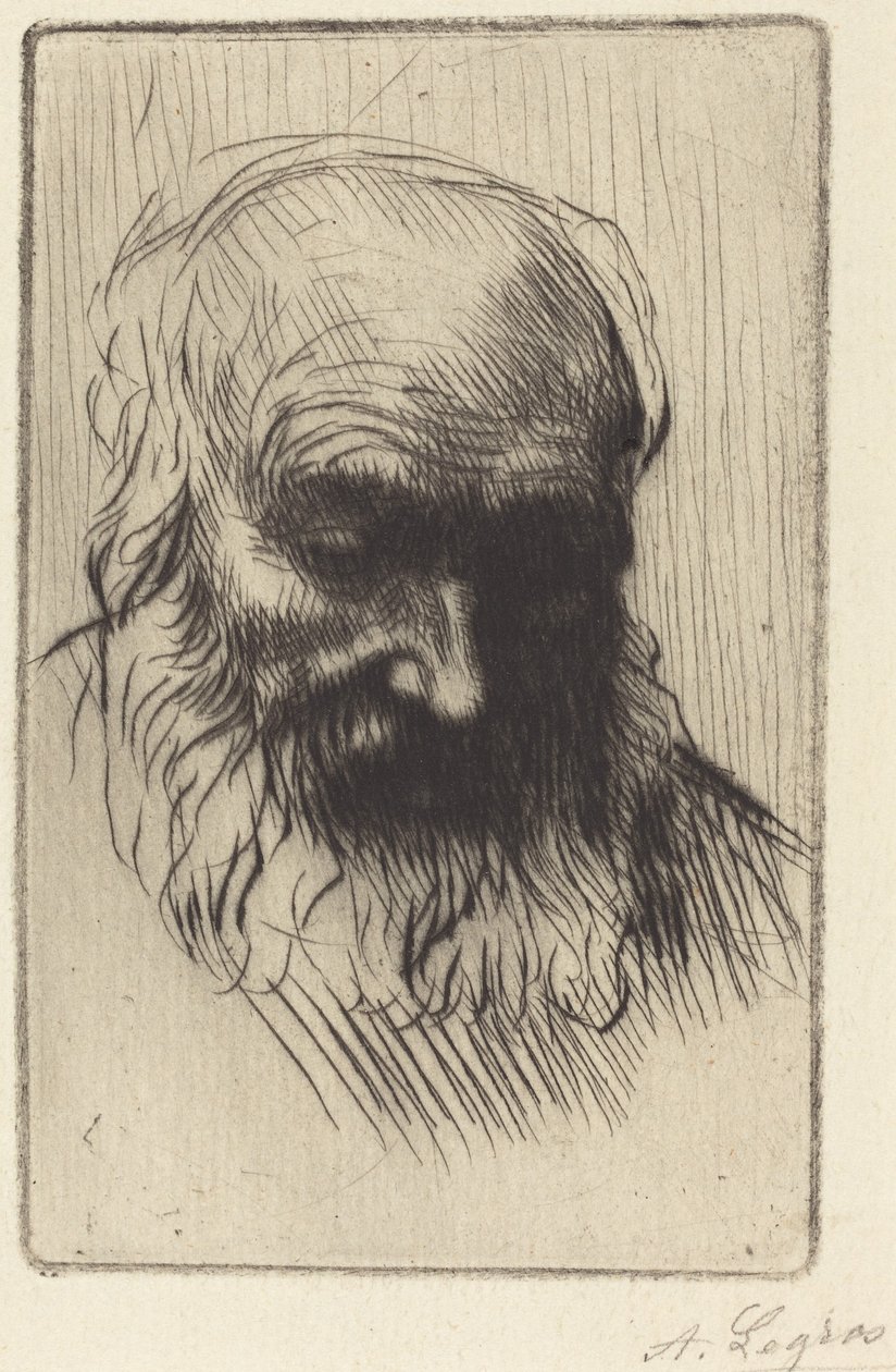 Głowa starego mężczyzny (Etude de tete) autorstwa Alphonse Legros