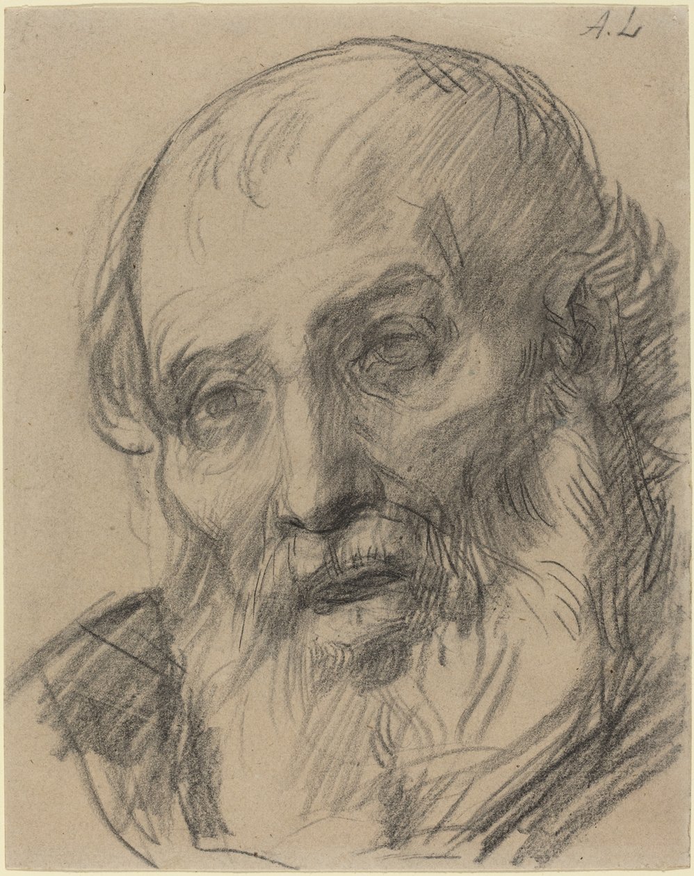 Głowa starego człowieka autorstwa Alphonse Legros