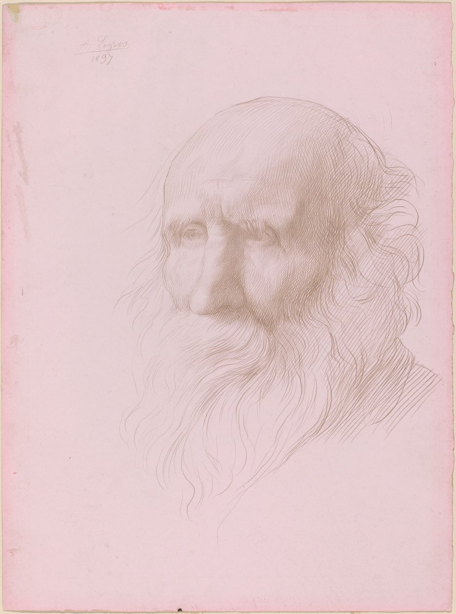 Głowa starego człowieka autorstwa Alphonse Legros