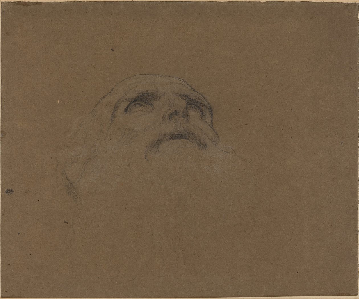 Głowa starego człowieka autorstwa Alphonse Legros