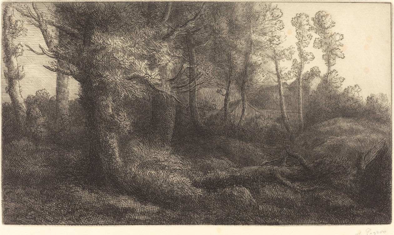 W lesie (Lisiere de foret) autorstwa Alphonse Legros