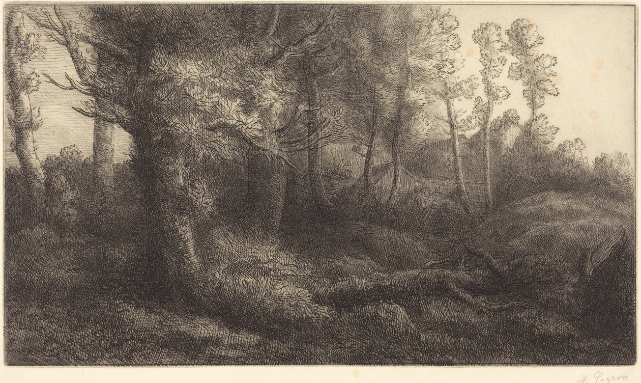 W lesie (Lisière de forêt) autorstwa Alphonse Legros