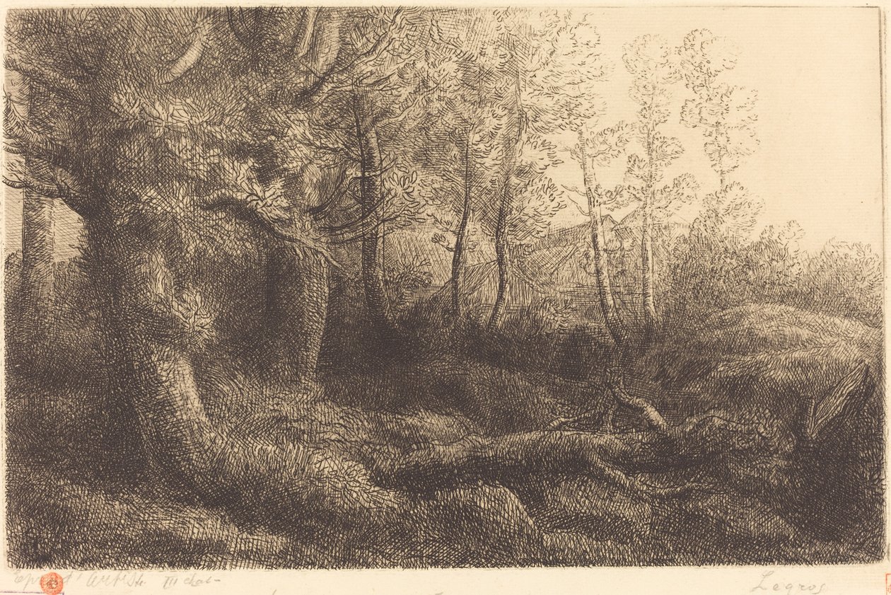 W lesie Lisiere de foret. autorstwa Alphonse Legros