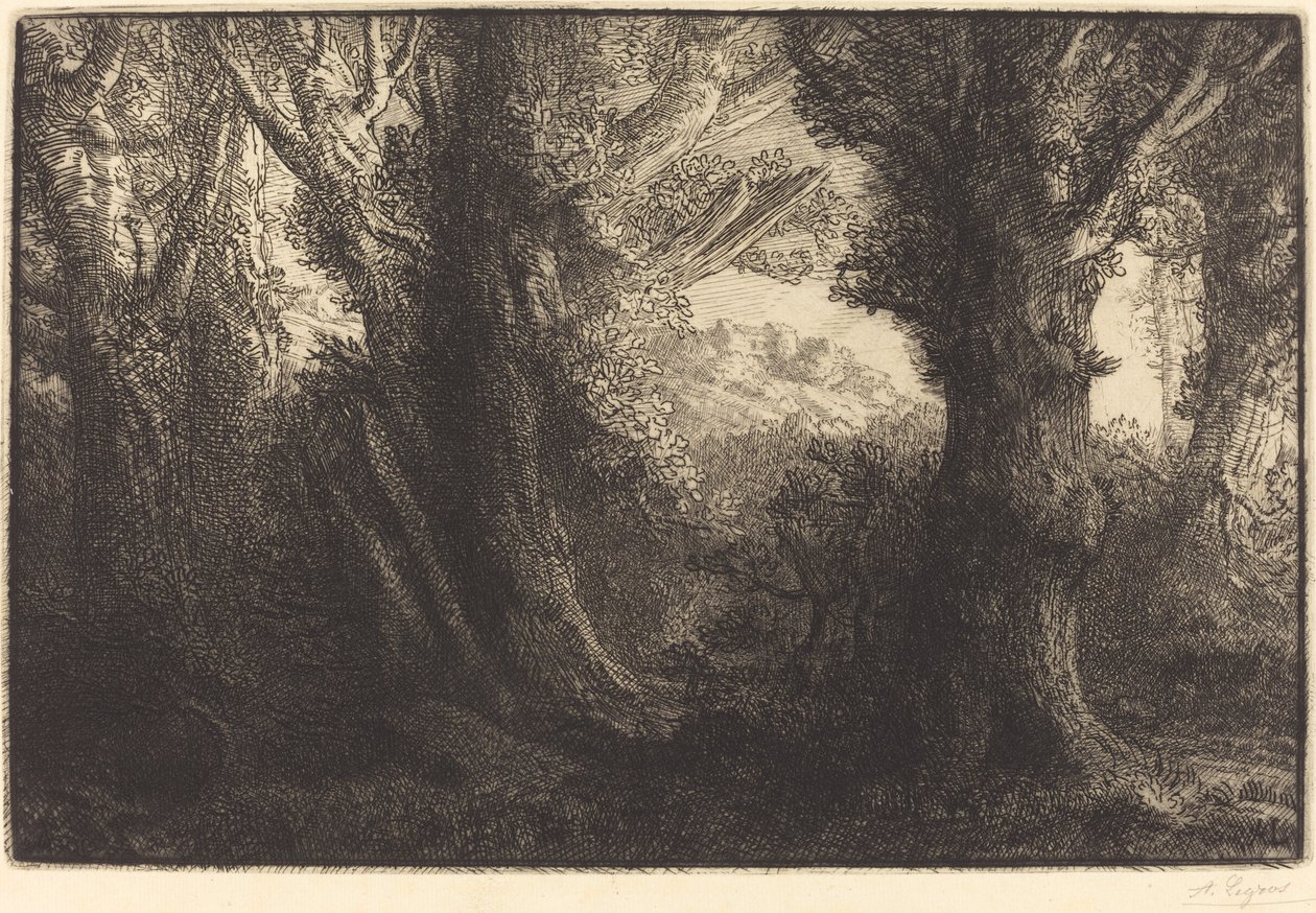 W lesie Conteville (Dans la foret de Conteville) autorstwa Alphonse Legros