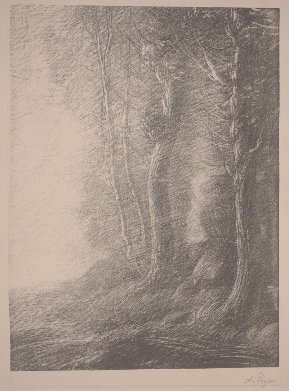 Krajobraz (lito) autorstwa Alphonse Legros