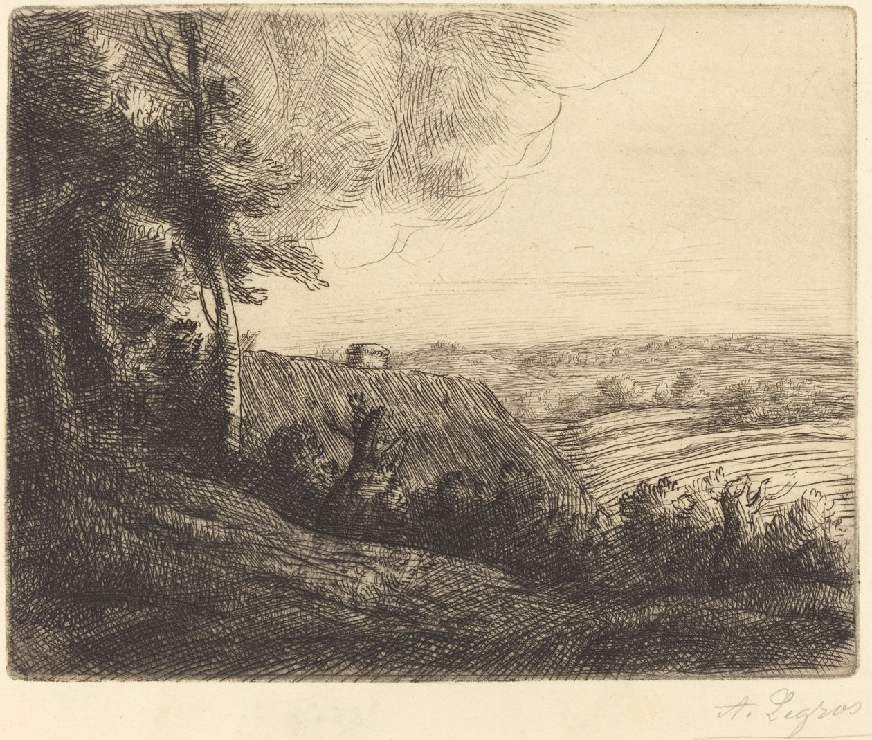 Krajobraz: Droga do Horville (Paysage: Chemin d