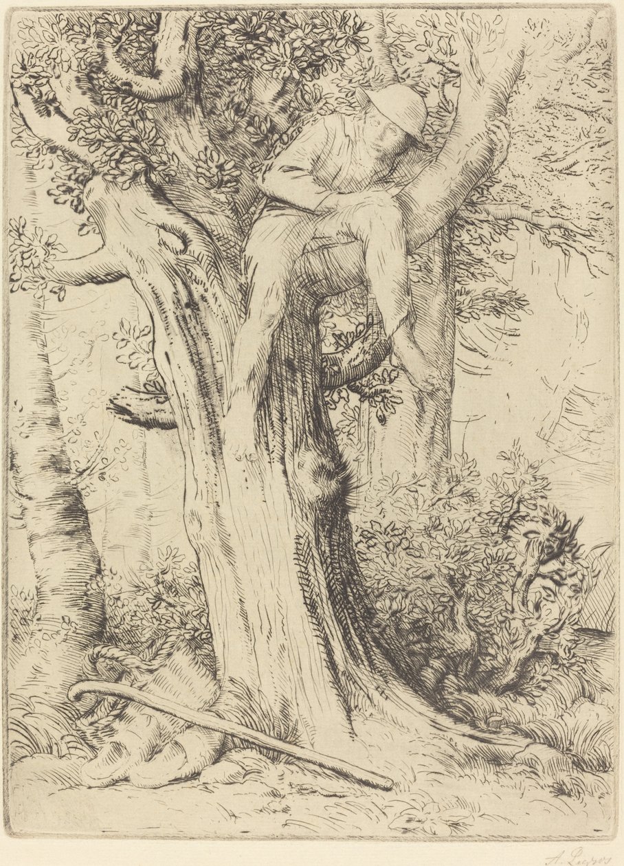 Krajobraz z chłopcem na drzewie autorstwa Alphonse Legros