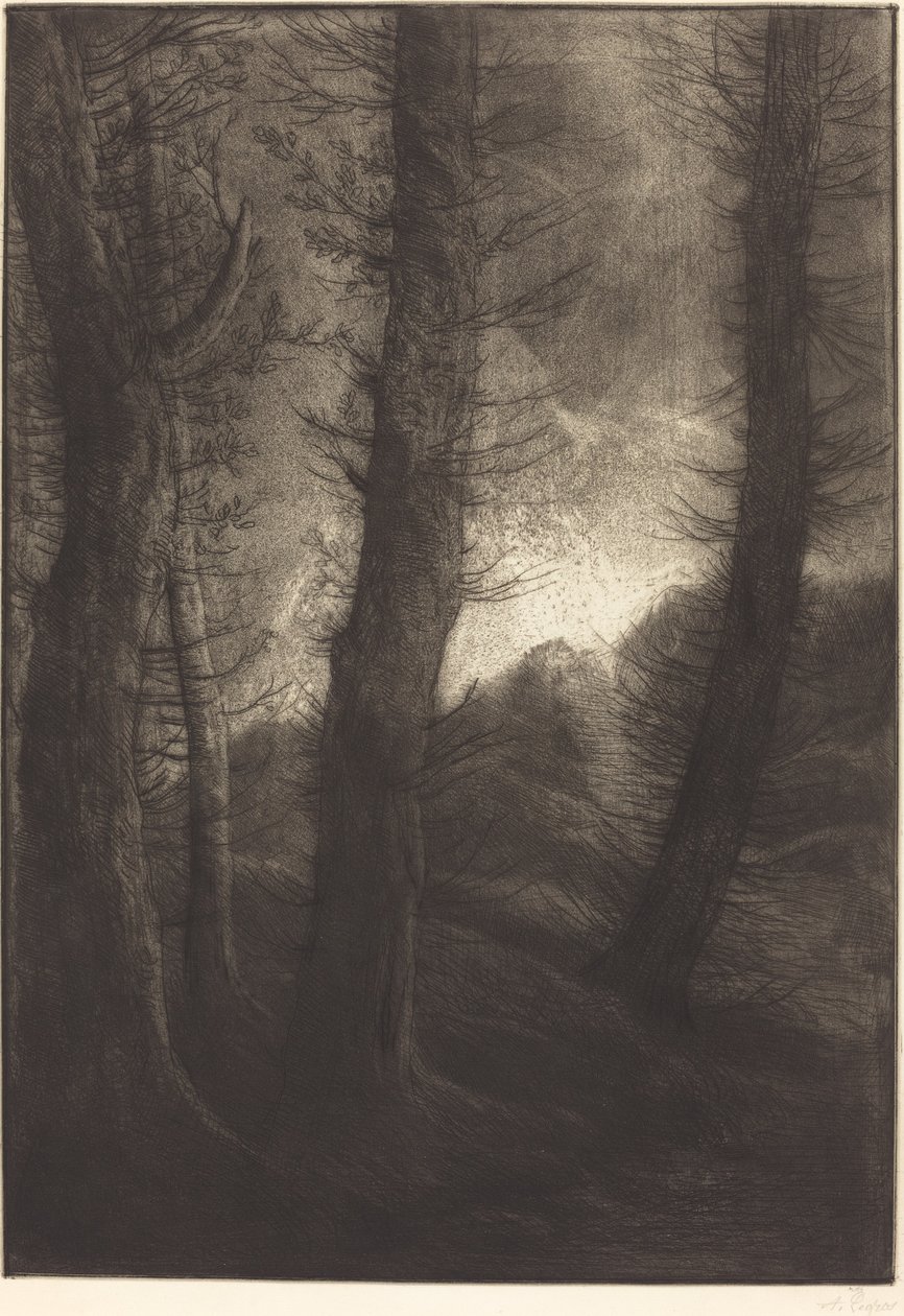 Duże drzewa widziane pod słońce Duże drzewa: efekt wieczorny. autorstwa Alphonse Legros