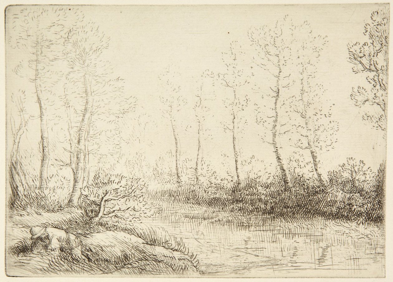 Brzozy autorstwa Alphonse Legros