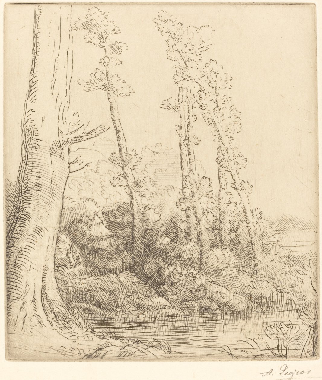 Mały Staw (La petite mare) autorstwa Alphonse Legros