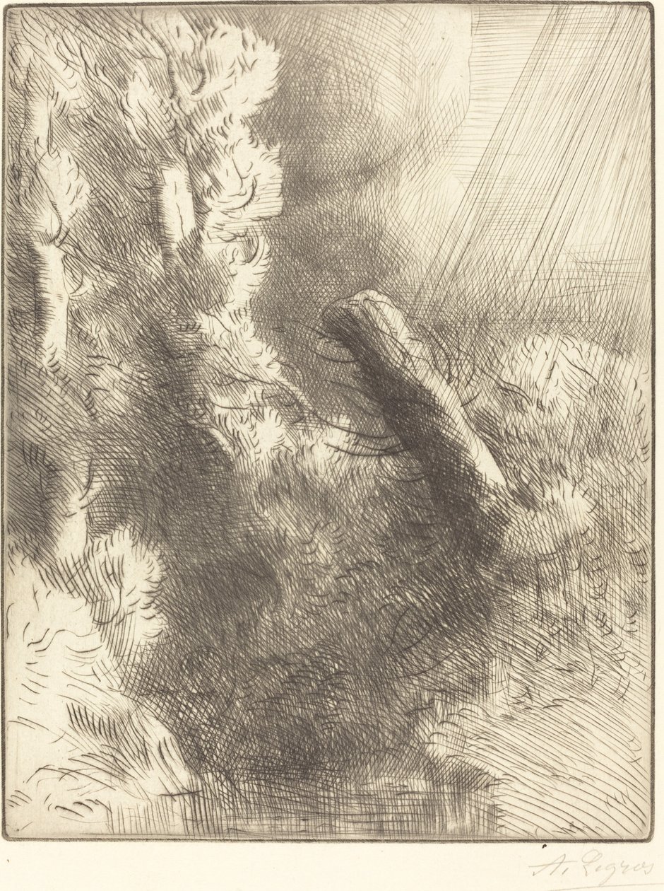 Wspomnienia z Fountainebleau w deszczu autorstwa Alphonse Legros