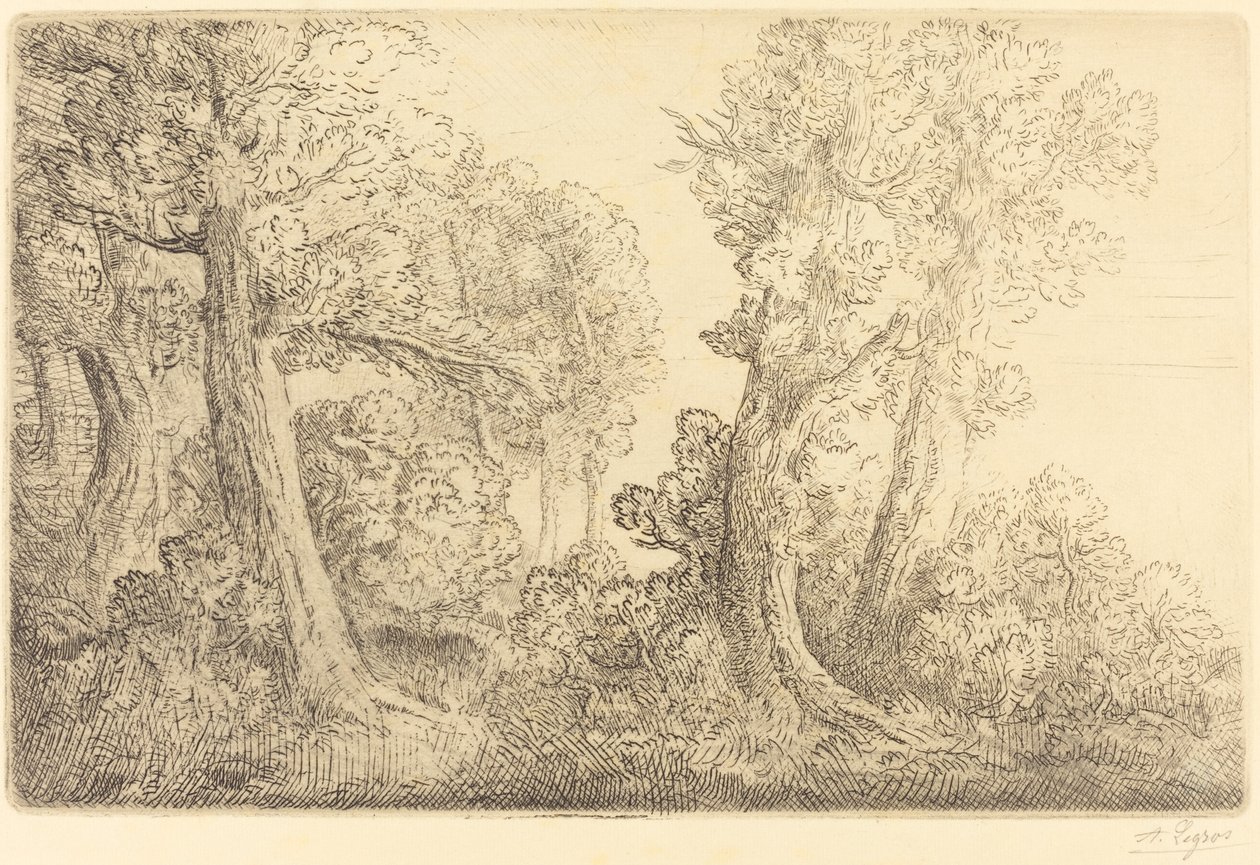 W pobliżu lasu, Veronne (Pres du bois, Veronne) autorstwa Alphonse Legros