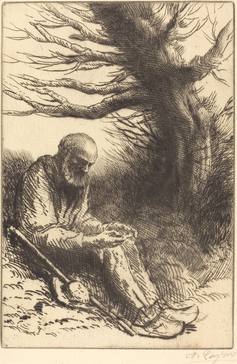 Stary człowiek, Stare Drzewo autorstwa Alphonse Legros