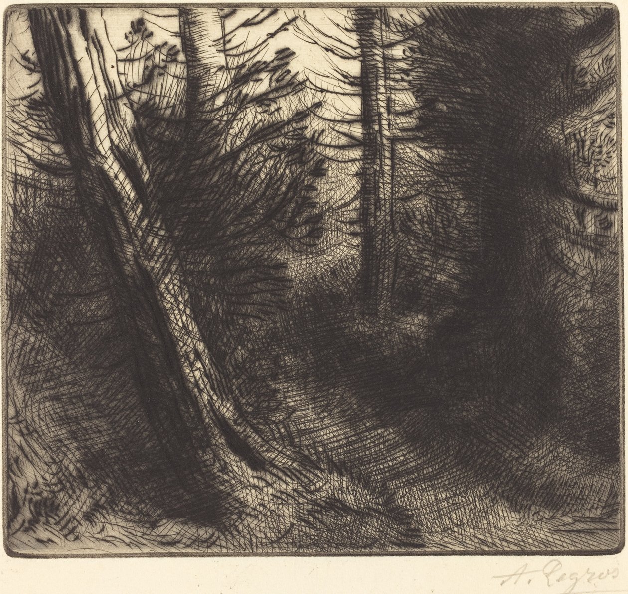 Ścieżka przez las autorstwa Alphonse Legros