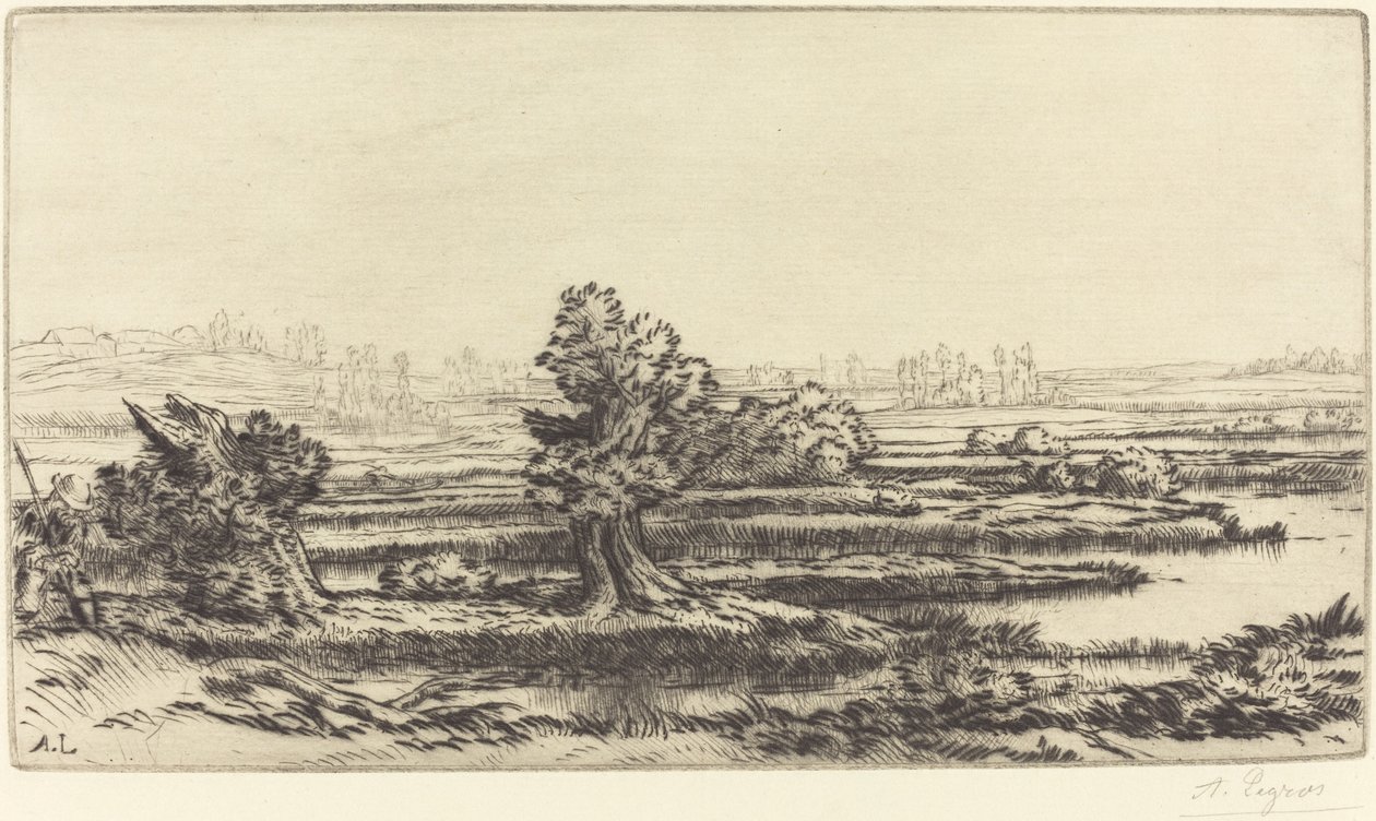 Torfowiska Les Tourbieres. autorstwa Alphonse Legros