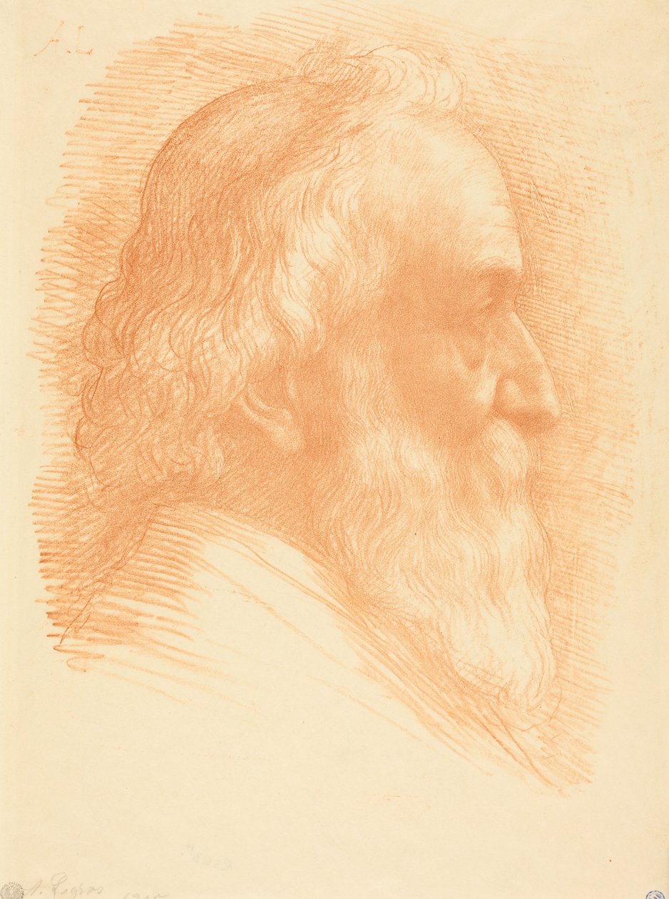 Autoportret, dziesiąta plansza autorstwa Alphonse Legros