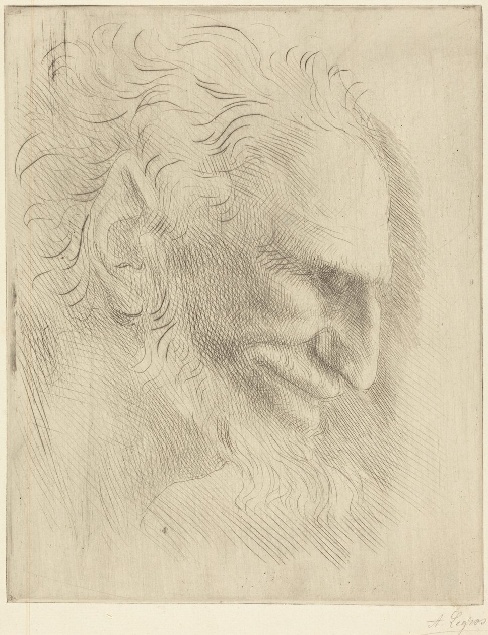 Studium głowy mężczyzny autorstwa Alphonse Legros