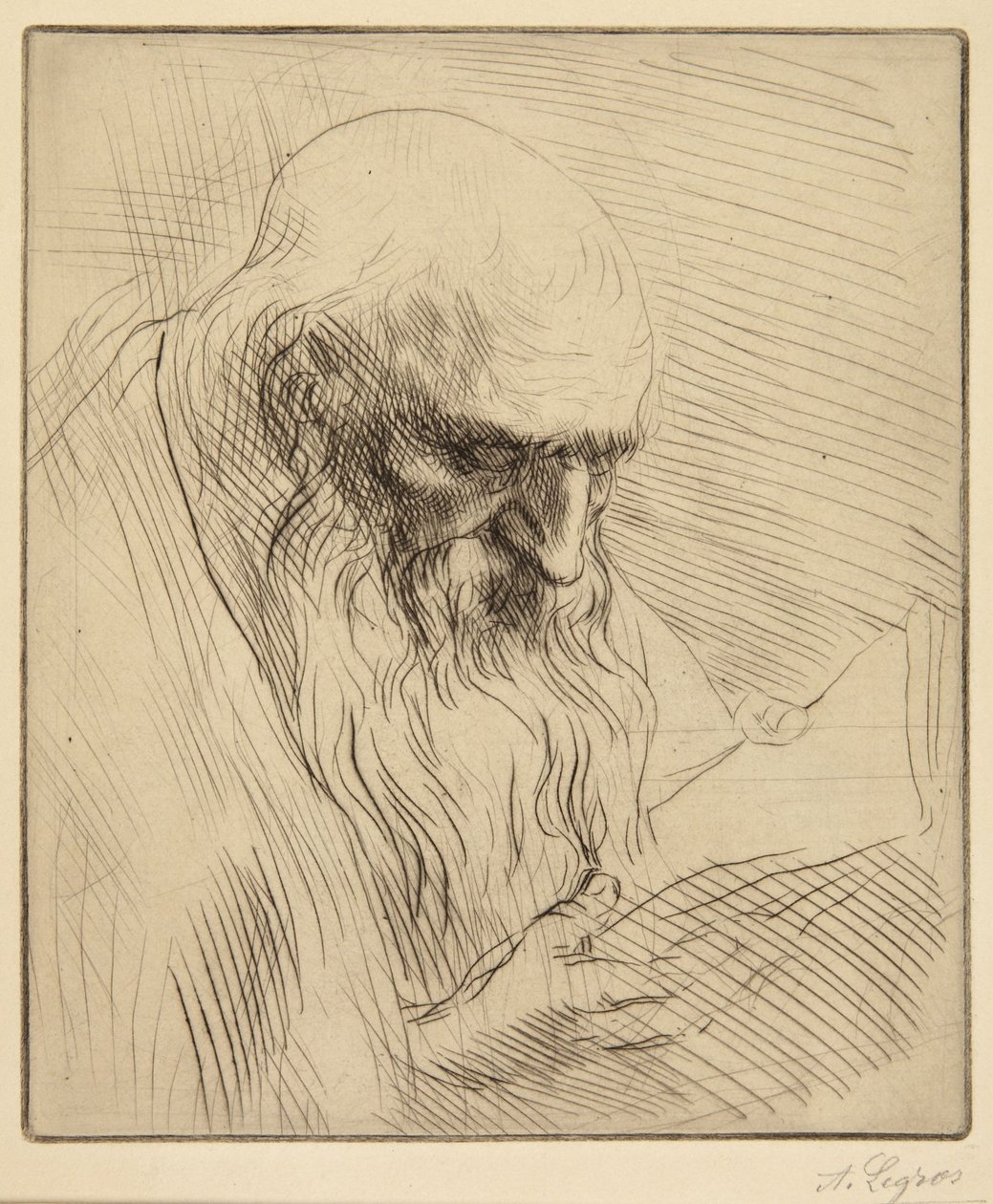 Studium starego mężczyzny czytającego autorstwa Alphonse Legros