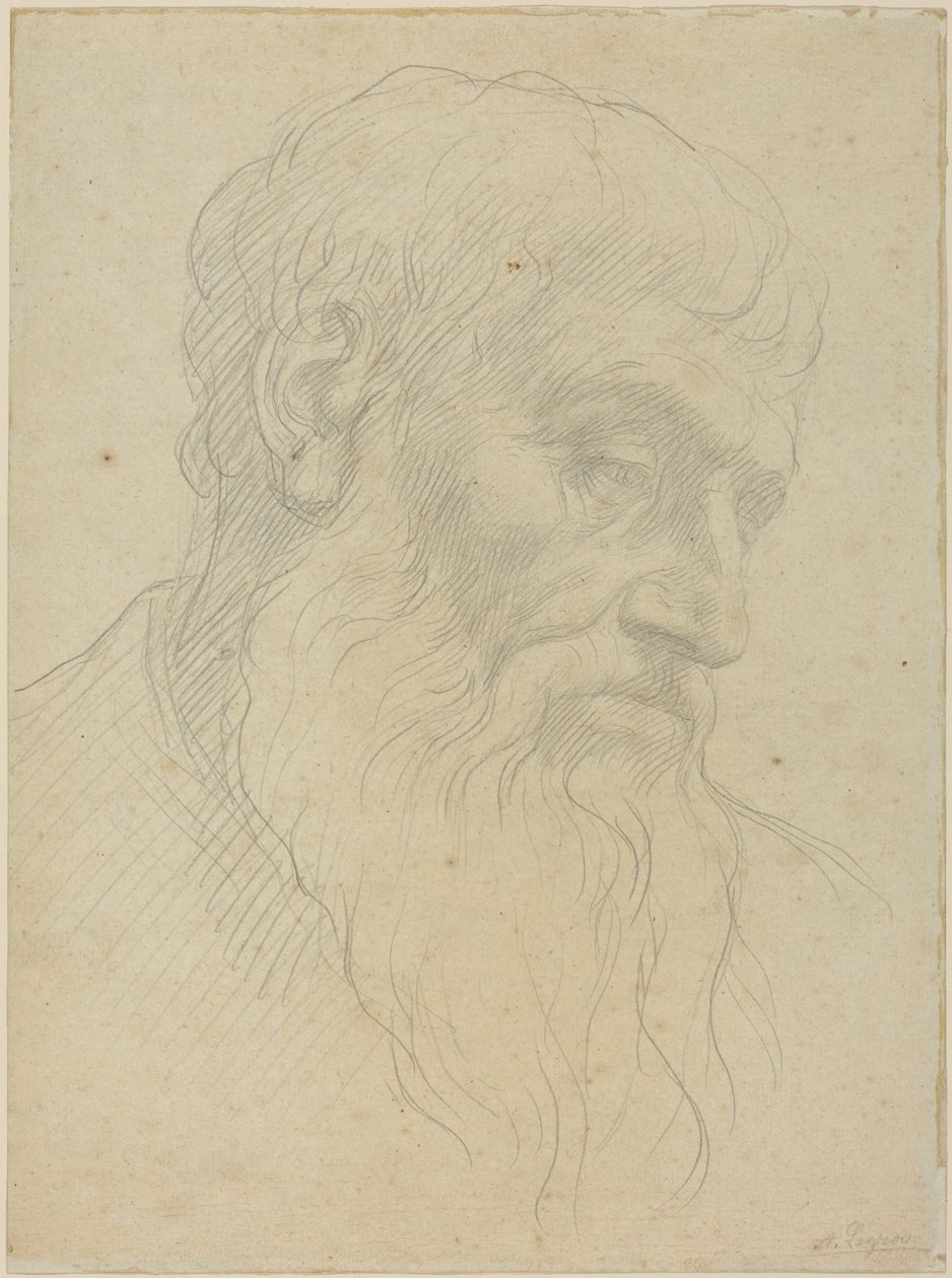 Studium głowy autorstwa Alphonse Legros