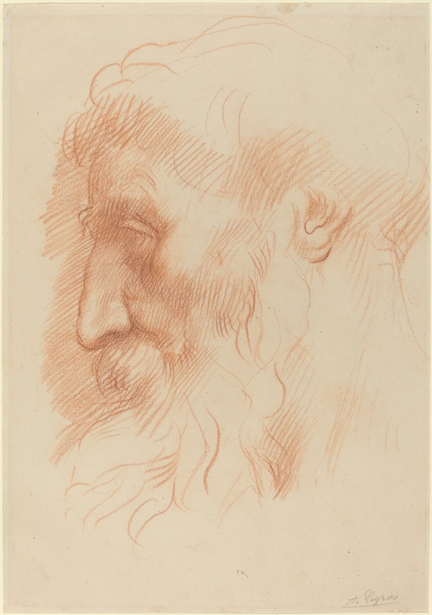 Studium głowy mężczyzny [recto]. autorstwa Alphonse Legros