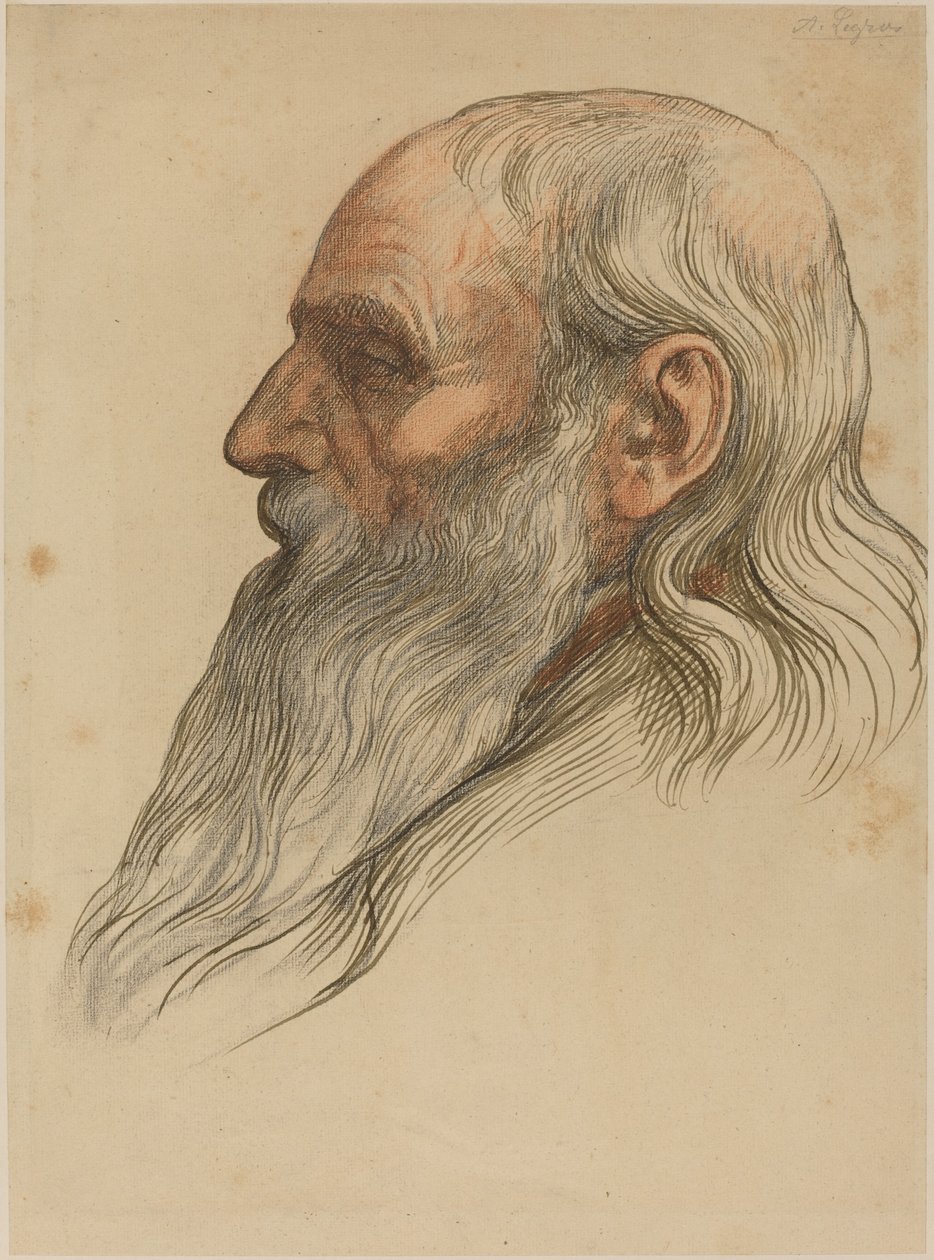 Studium głowy mężczyzny z pełną brodą autorstwa Alphonse Legros