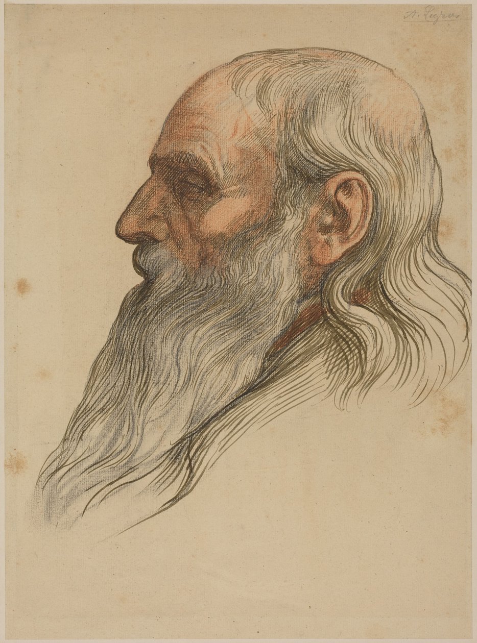 Studium głowy mężczyzny z pełną brodą autorstwa Alphonse Legros