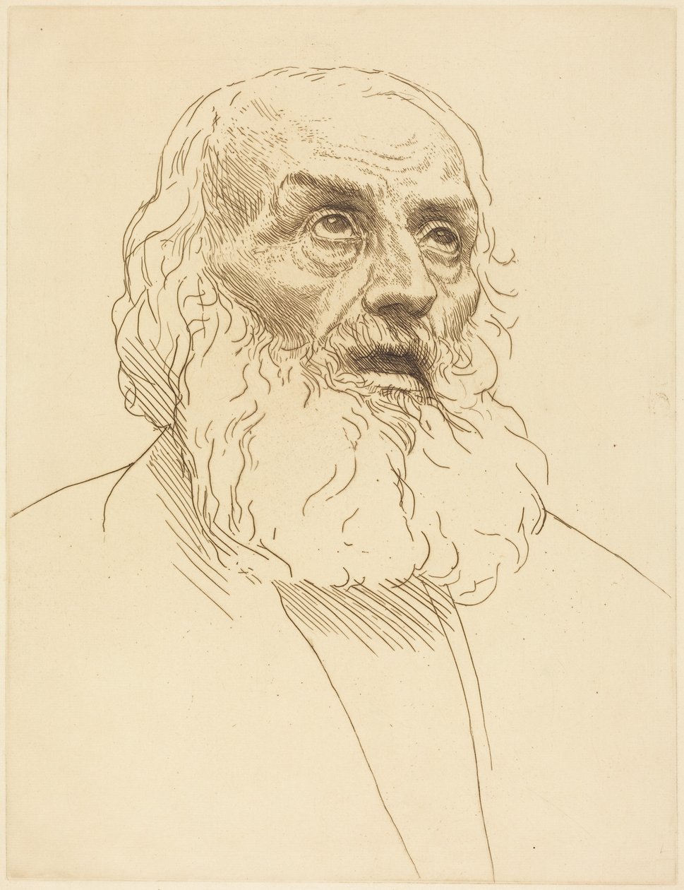 Study of an Old Man (Studium starca) autorstwa Alphonse Legros