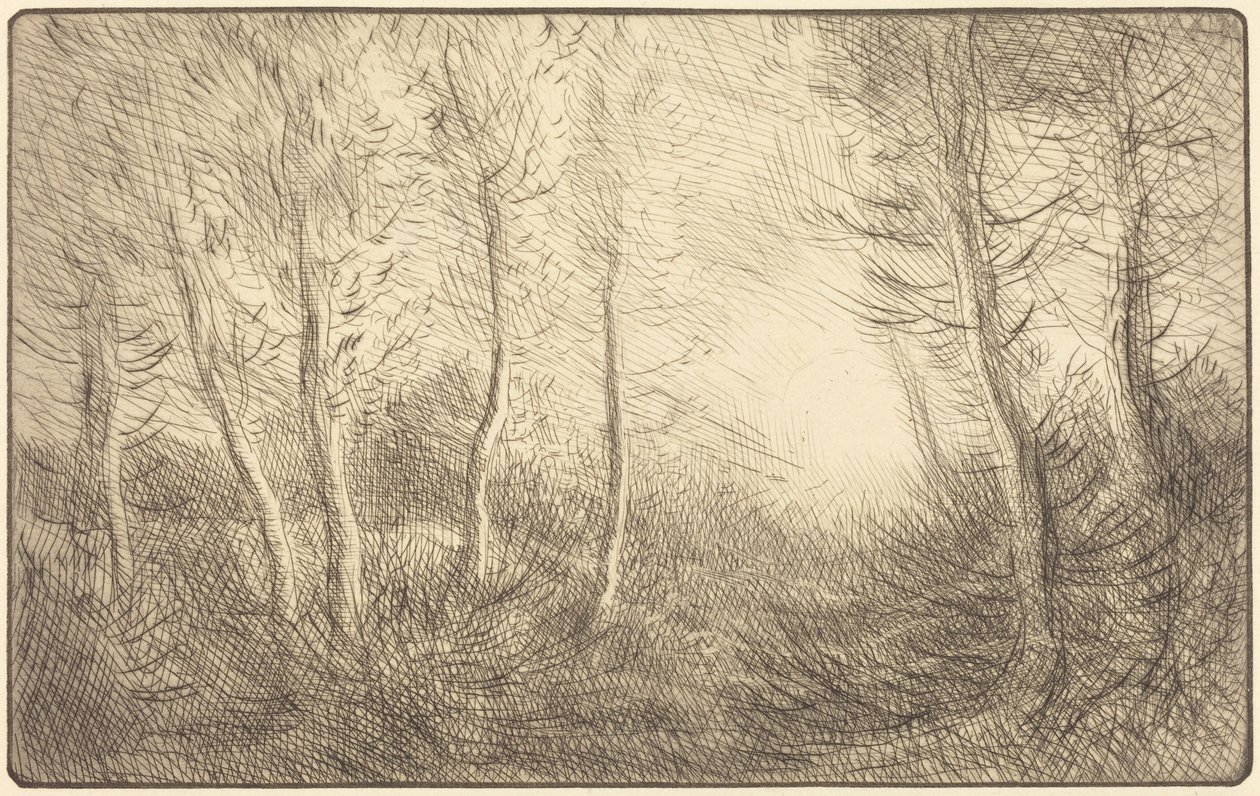 Wschód słońca, lasy Clamard autorstwa Alphonse Legros