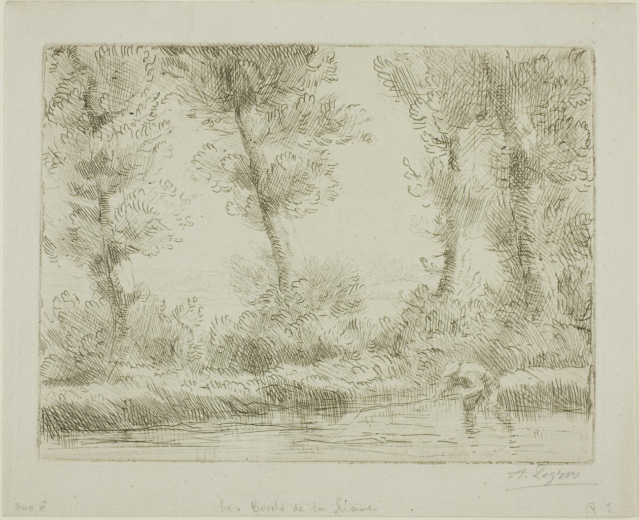 Banki Liane autorstwa Alphonse Legros
