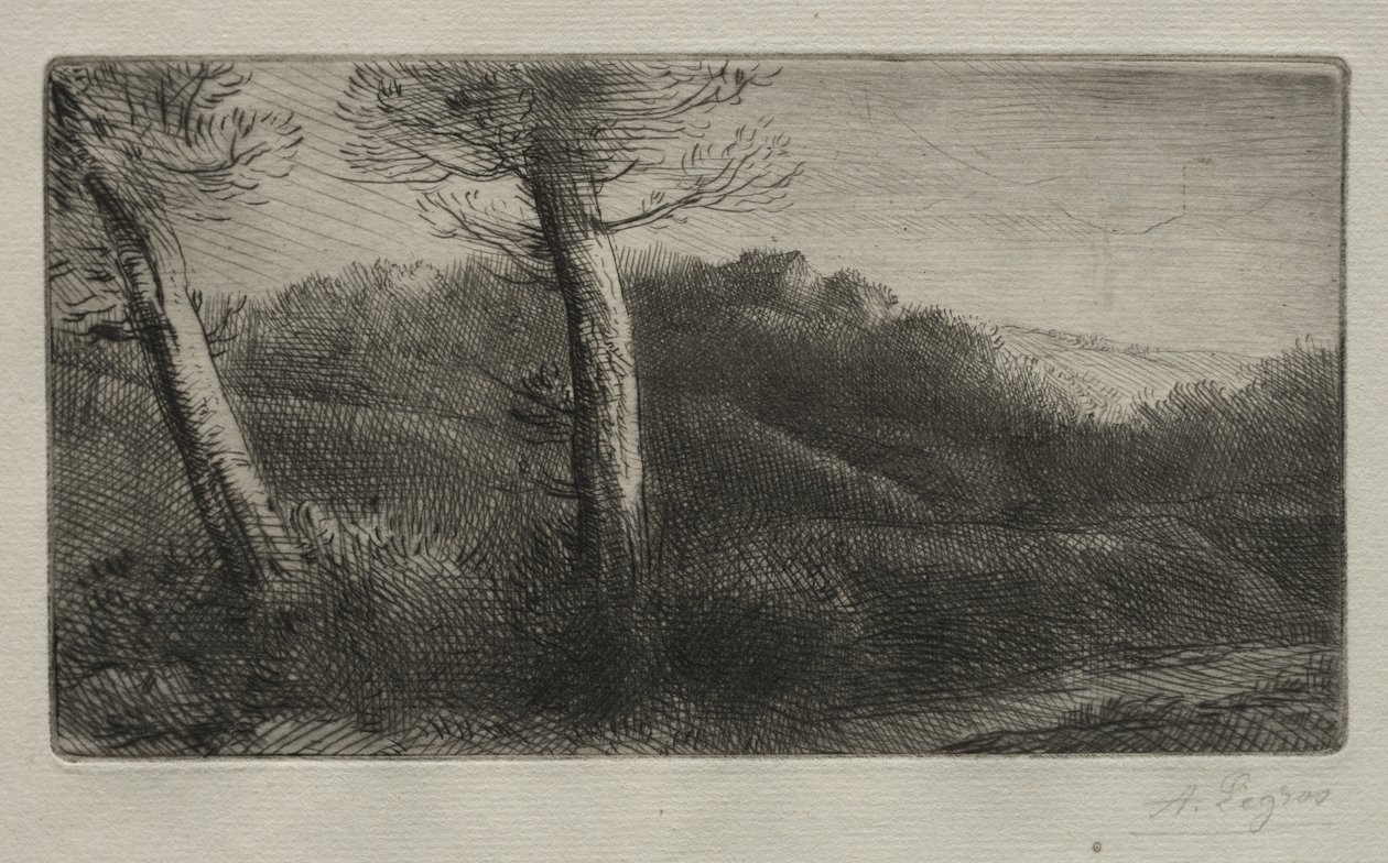 Podróżnik wyciągnięty na trawie autorstwa Alphonse Legros