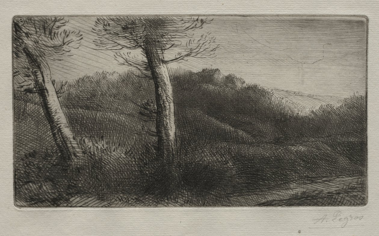 Podróżnik wyciągnął się na trawie, ok. godz. 1888. autorstwa Alphonse Legros