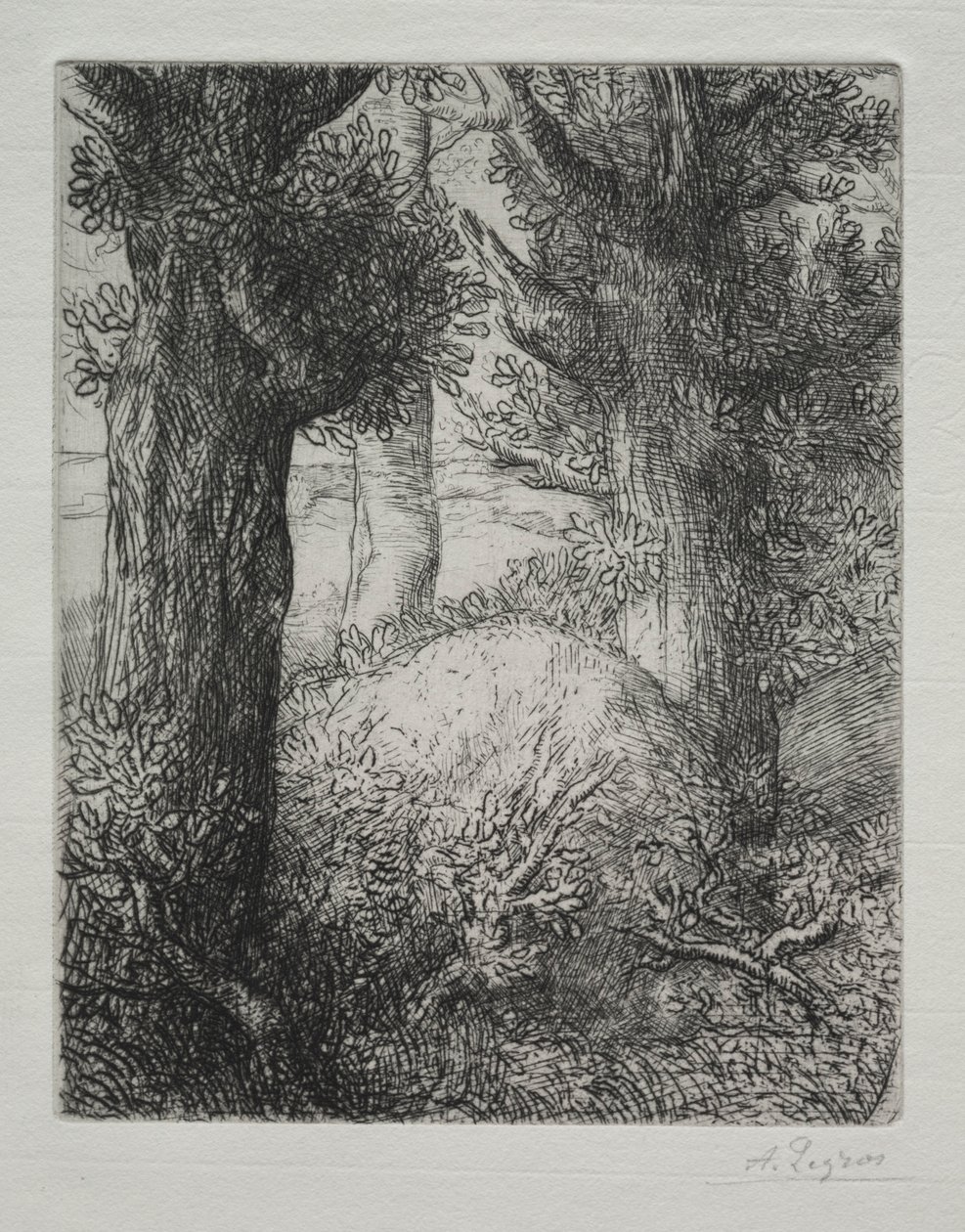 Kopce galijskie. autorstwa Alphonse Legros