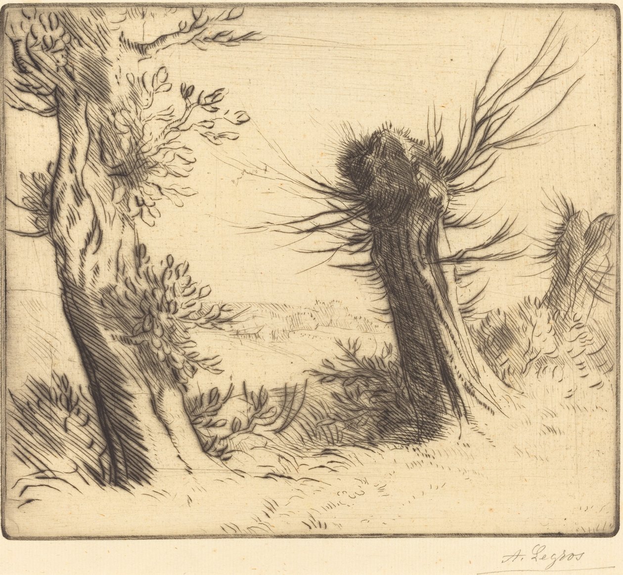 Willows Les Saules. autorstwa Alphonse Legros