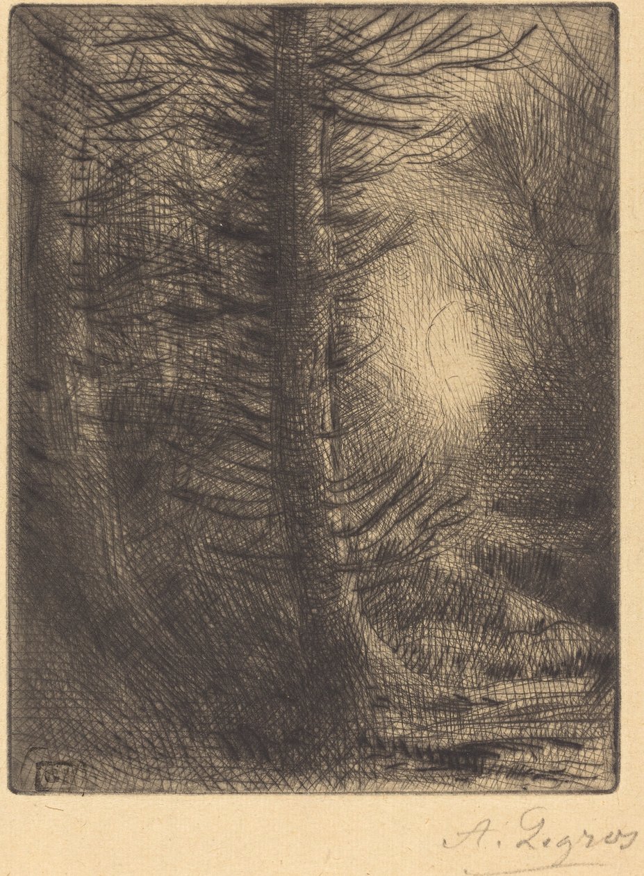 Woods in Winter Sun, pierwsza płyta Zimowe słońce w lesie. autorstwa Alphonse Legros