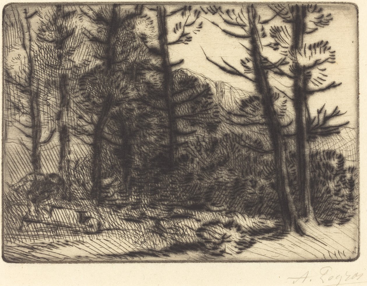 Las w zimowym słońcu, 2. płyta autorstwa Alphonse Legros